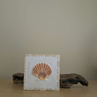 Saint Jacques 02 - L'Aube