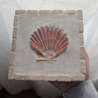 Saint Jacques 03 - Crépuscule