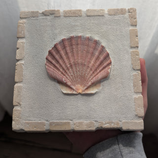 Saint Jacques 04 - Essence