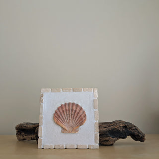 Saint Jacques 05 - Rayon