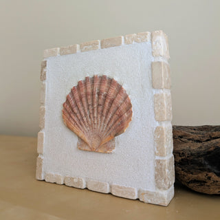 Saint Jacques 05 - Rayon