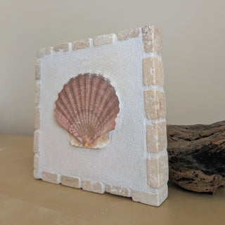 Saint Jacques 04 - Essence