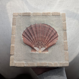 Saint Jacques 06 - Silhouette