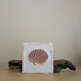 Saint Jacques 06 - Silhouette