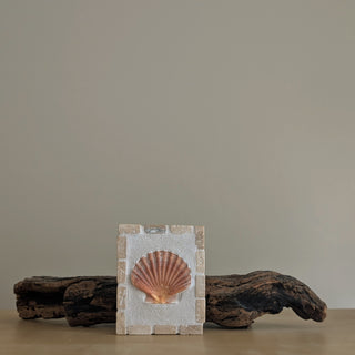 Saint Jacques 08 - Brise