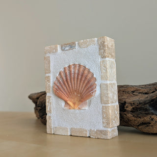 Saint Jacques 08 - Brise