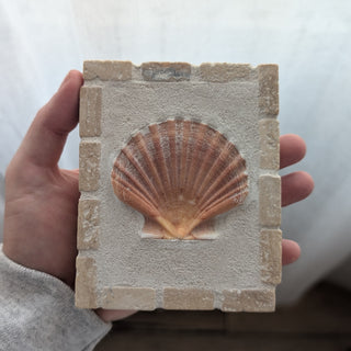 Saint Jacques 08 - Brise