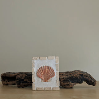 Saint Jacques 09 - Élan