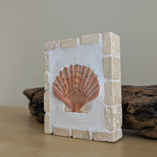 Saint Jacques 09 - Élan