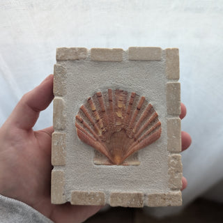 Saint Jacques 09 - Élan