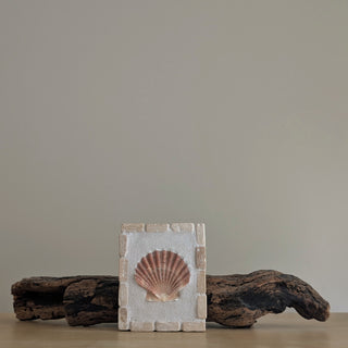 Saint Jacques 10 - Salin