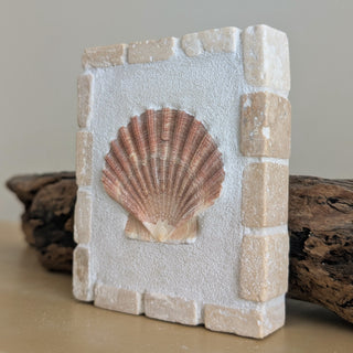 Saint Jacques 10 - Salin