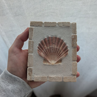 Saint Jacques 10 - Salin