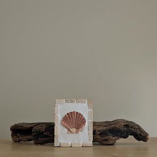 Saint Jacques 11 - Reflet