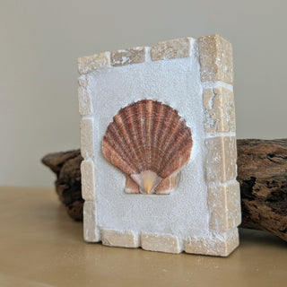 Saint Jacques 11 - Reflet