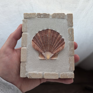 Saint Jacques 11 - Reflet